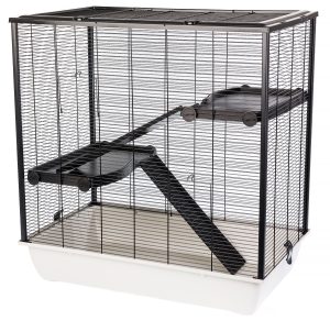 Inter-Zoo Frodo/Fargo