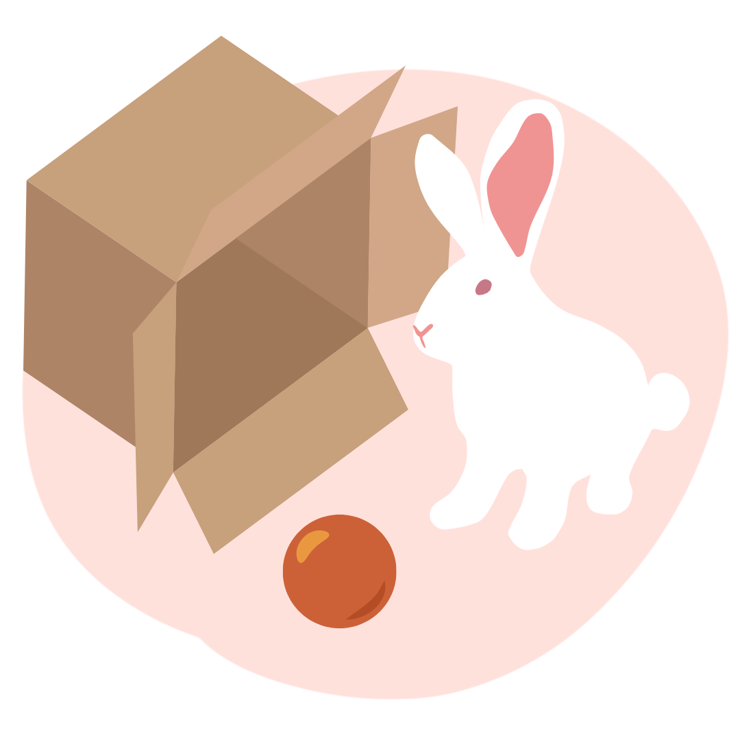 królik z piłką obok pudełka