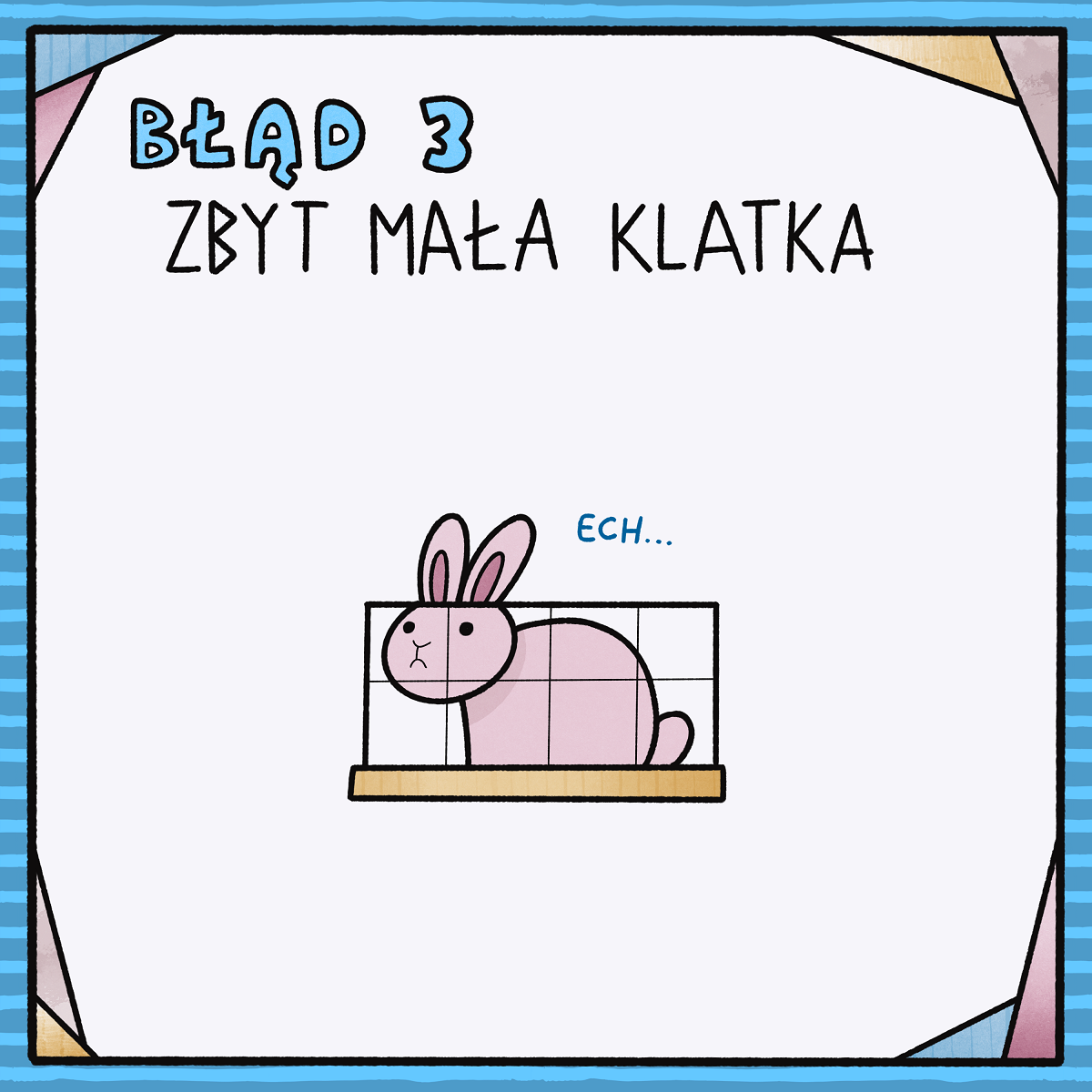 królik w za małej klatce